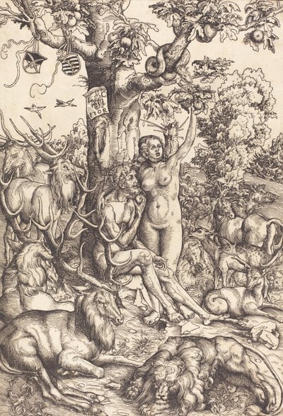 Adam and Eve by Lucas Cranach the Elder